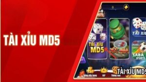 Lựa chọn nhà cái cá cược uy tín để đảm bảo trải nghiệm trọn vẹn
